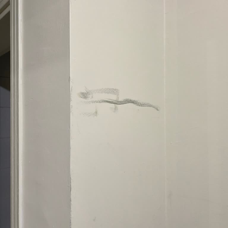 Yeni Yuvam Nakliyat Eşyalarıma ve Eve Zarar Verdi