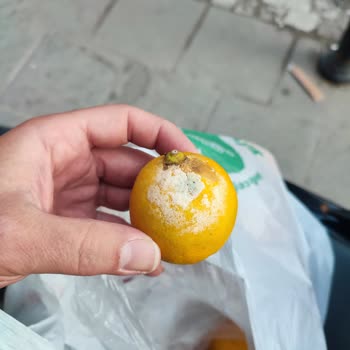 Eksik Ve Çürük Ürünler, Yetersiz Destek: Yemeksepeti Ve Onur Market Alışverişimde Büyük Hayal Kırıklığı