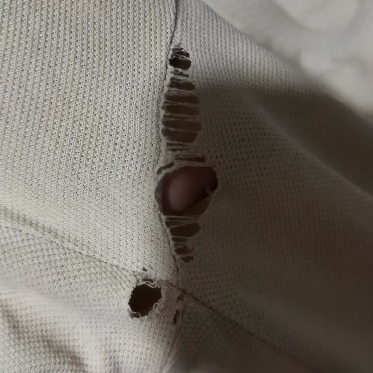 Altınyıldız'dan Aldığımız Sweatshirt Kısa Sürede Yırtıldı