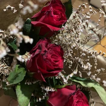 Yanlış Ürün Gönderimi Ve Çözüm Sunulmayan Sipariş Deneyimi