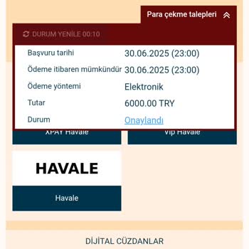 Bahis Sitesinde Kazanılan Paranın Ödenmemesi Ve İletişim Sorunu