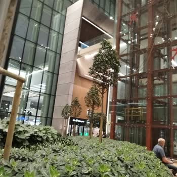 Rötarlı Uçuş Nedeniyle Bağlantılı Seyahatimi Kaçırdım, Mağduriyetimin Giderilmesini İstiyorum