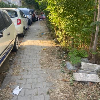 Kartal Cumhuriyet Mahallesi'nde Kaldırım Ve Yol Kenarlarında Süregelen Temizlik Sorunu