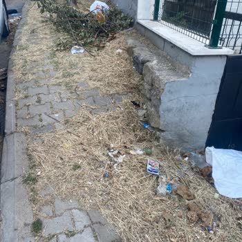 Kartal Cumhuriyet Mahallesi'nde Kaldırım Ve Yol Kenarlarında Süregelen Temizlik Sorunu
