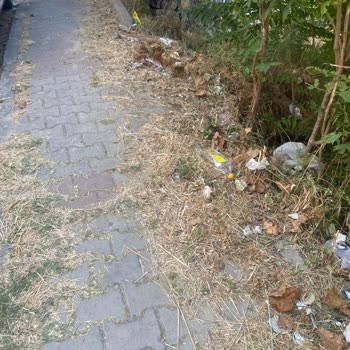 Kartal Cumhuriyet Mahallesi'nde Kaldırım Ve Yol Kenarlarında Süregelen Temizlik Sorunu