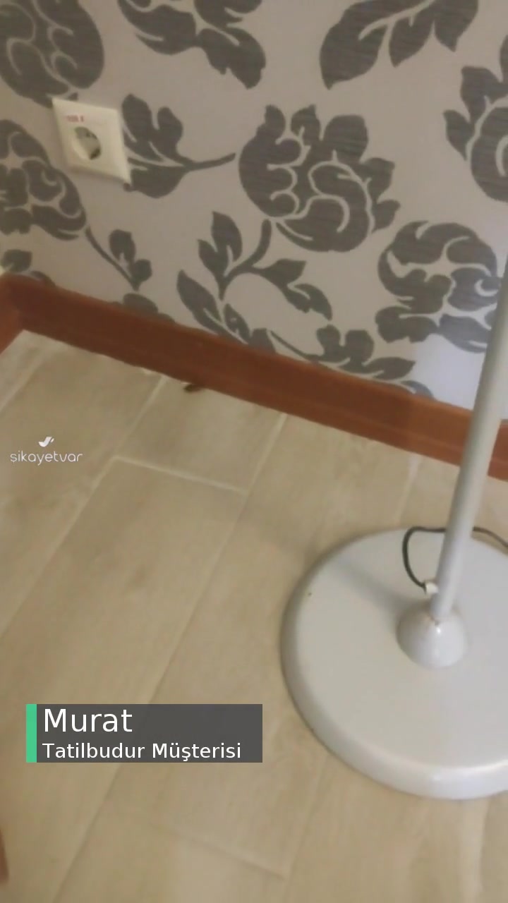 Tatilbudur Grand Cortez Hamam Böceği Oteli videonun kapak resmi