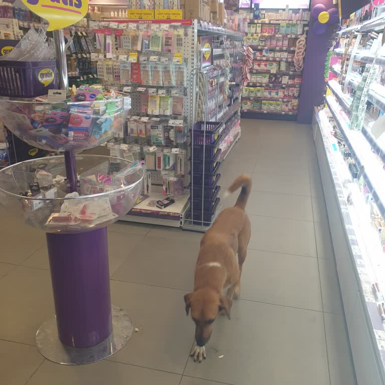 Gratis Mağazada Hijyen Ve Güvenlik Endişesi