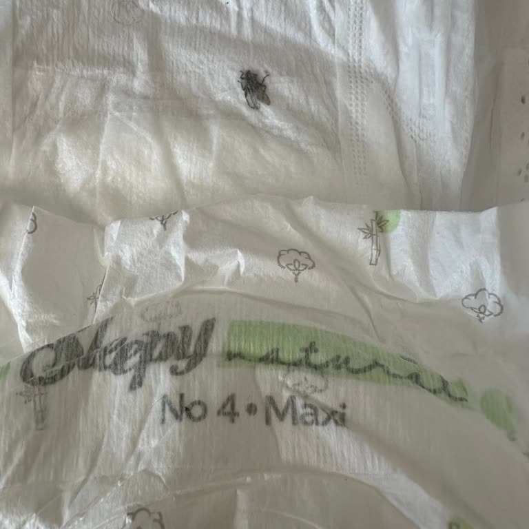 Sleepy Bebek Bezinde Ölü Sinek Buldum, Hijyen Konusunda Endişeliyim