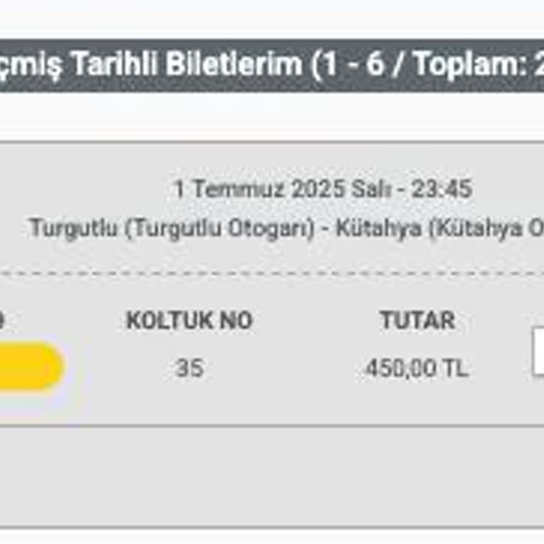 Satın Alınan Koltuğun Başkasına Verilmesi Ve Otobüs Personelinin Hakaret Ve Baskısı
