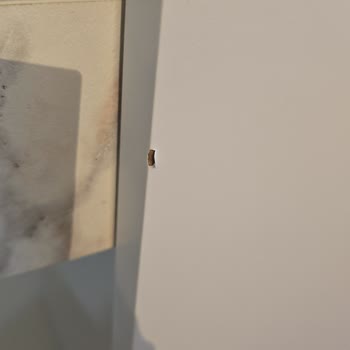 Mağazada Kusursuz Gördüğüm Mobilyalar Hasarlı Ve Çizik Şekilde Teslim Edildi