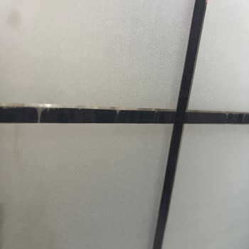 Bitkisel Leke Çıkarıcı Sonrası Duşakabin Ve Ankastrede Hasar