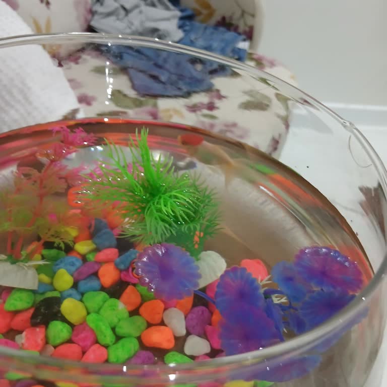 Kanmaz Petshop Bilerek Yanlış Bilgilendirme Yapıldı