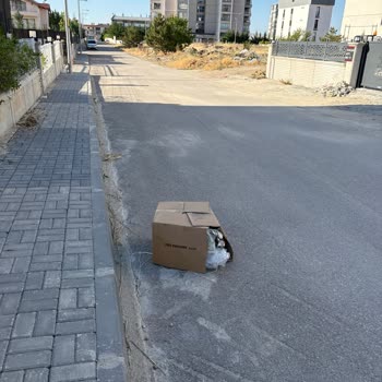 İnşaat Atıkları Ve Çöp Nedeniyle Yaşanan Çevre Kirliliği Mağduriyeti