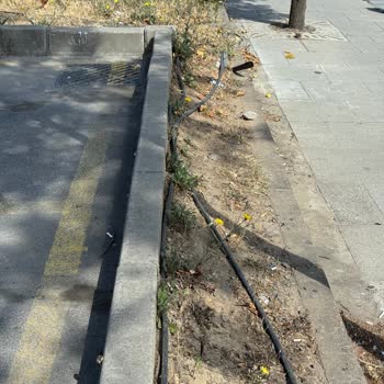 Suryapı Lavender'de Eksik Hizmet Ve Bakımsızlık Sorunu
