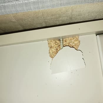 Aldığım Yatak Odası Takımı Hayal Kırıklığına Dönüştü