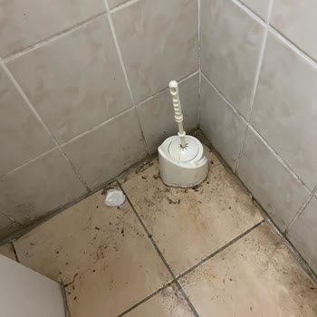 Otelin Temizlik Ve Hizmet Sorunları Konaklama Deneyimimizi Olumsuz Etkiledi