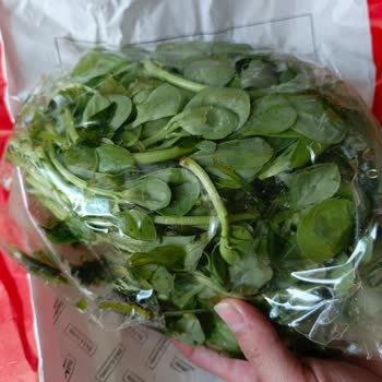 Eksik Ve Bozuk Ürünler, İade Yapılmadı, Sorunlar Çözülmüyor