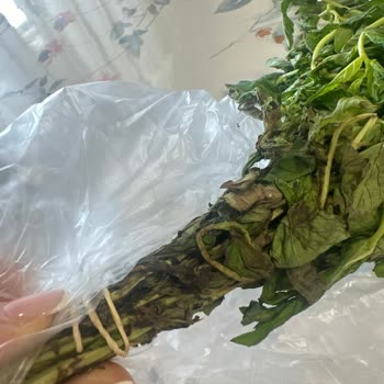 Siparişte Ürünlerin Yanlış Paketlenmesi Ve Kalitesiz Yeşillik Teslimatı