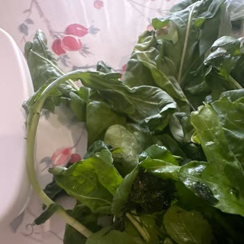 Siparişte Ürünlerin Yanlış Paketlenmesi Ve Kalitesiz Yeşillik Teslimatı