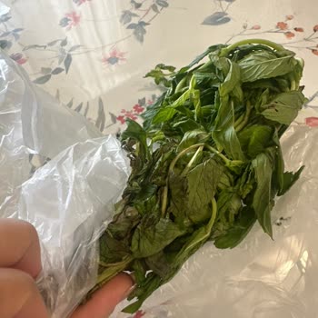 Siparişte Ürünlerin Yanlış Paketlenmesi Ve Kalitesiz Yeşillik Teslimatı