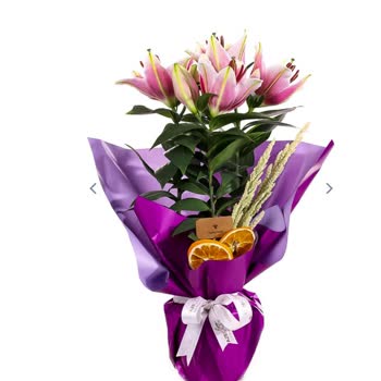 Siparişimde Beklentilerim Karşılanmadı, Destek Yetersiz Kaldı