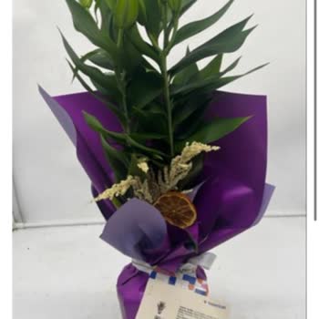 Siparişimde Beklentilerim Karşılanmadı, Destek Yetersiz Kaldı