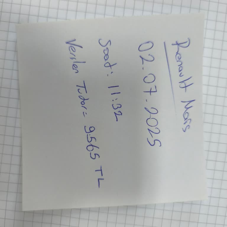 Renault Yetkili Serviste İkinci Bakım İçin İstenen Yüksek Ücret Şaşkınlığı