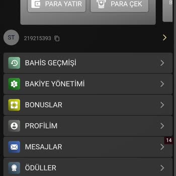 Bahiscasino Kazancım Silindi, Çekimim Engellendi