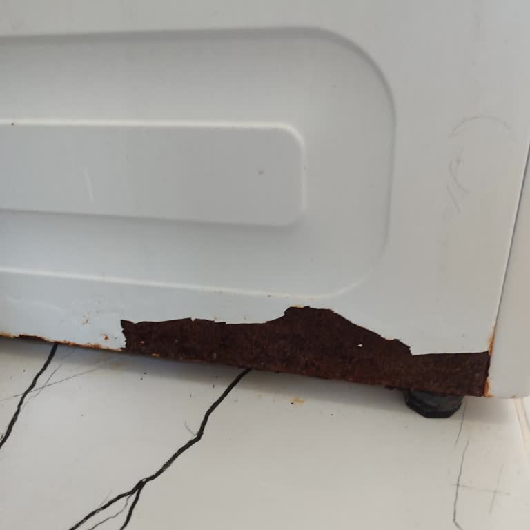 Garanti Kapsamında Olmasına Rağmen Çamaşır Makinesindeki Paslanma Ve Çürüme Sorunu Çözülemiyor