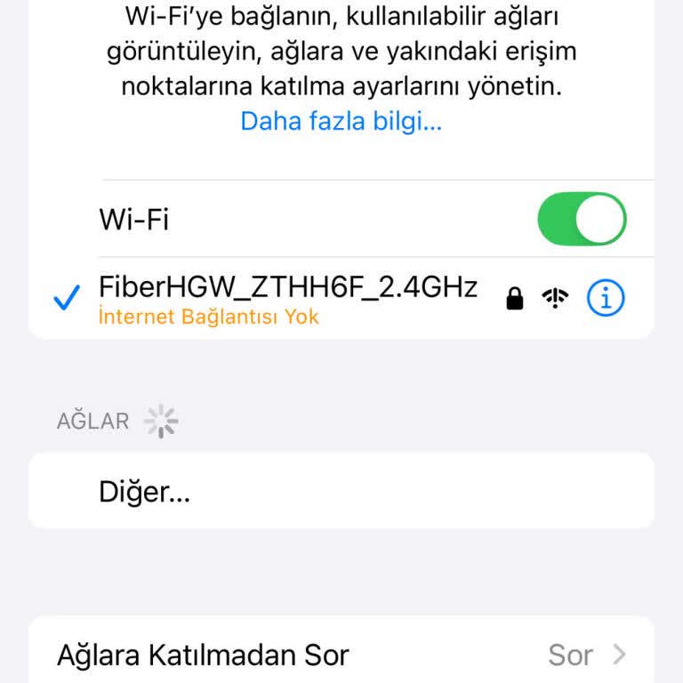 Yazlık İnternet Paketinde Bağlantı Sorunu Ve Muhatap Bulamama Mağduriyeti