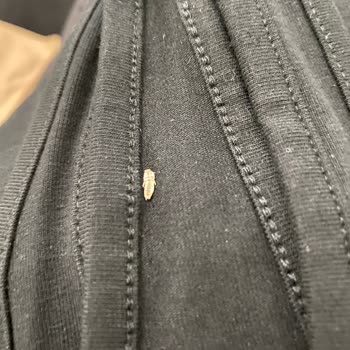 Siparişimde Böcek Ölüsü Çıktı, Büyük Hayal Kırıklığı Yaşadım