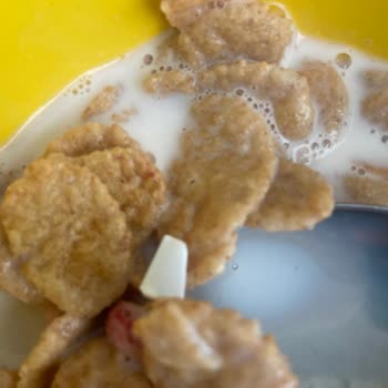 Kellogg's Tahıl Gevreğinde Tanımlanamayan Cisim Şaşkınlığı