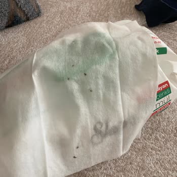 Sleepy Yüzey Temizlik Havlusunda Siyah Lekelerle Karşılaştım