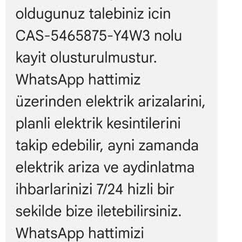 Elektrik Kablolarına Temas Eden Ağaç Dalları Ve İlgisiz Ekipler