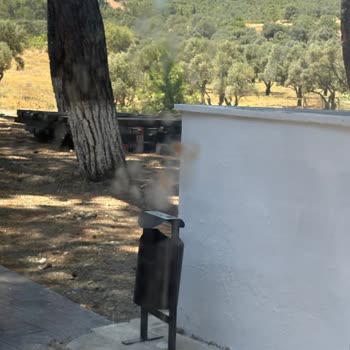 Trende Temizlik Sorunu: Kirli Camlar Ve Pis Ortam