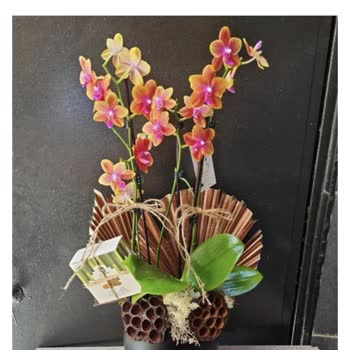 Görseldeki Ürünle Alakasız Çiçek Ve Sonuçsuz Müşteri Hizmeti