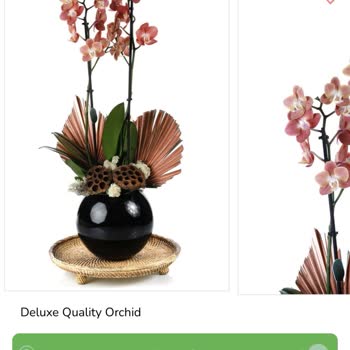 Görseldeki Ürünle Alakasız Çiçek Ve Sonuçsuz Müşteri Hizmeti