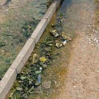 Milas Belediyesi  Ücretli Şezlong ve Duş Alanlarında Temizlik Sorunu