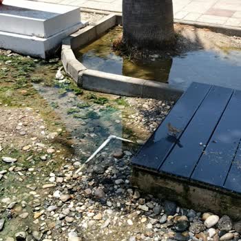 Milas Belediyesi  Ücretli Şezlong ve Duş Alanlarında Temizlik Sorunu