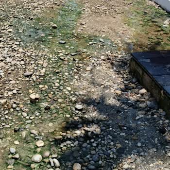 Milas Belediyesi  Ücretli Şezlong ve Duş Alanlarında Temizlik Sorunu