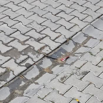 Acil Müdahale Beklenen Su Baskını Ve Elektrik Tehlikesi