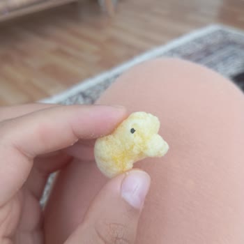 Çocuklar İçin Alınan Cipste Yabancı Madde Şoku