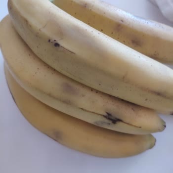 Migros'tan Gelen Çürük Meyve Ve Sebzeler Şaşkınlık Yarattı