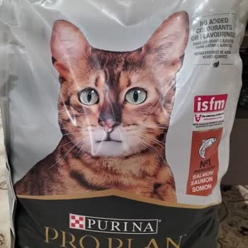 Warmnest Market'ten Aldığım Pro Plan Mama Sahte Çıktı