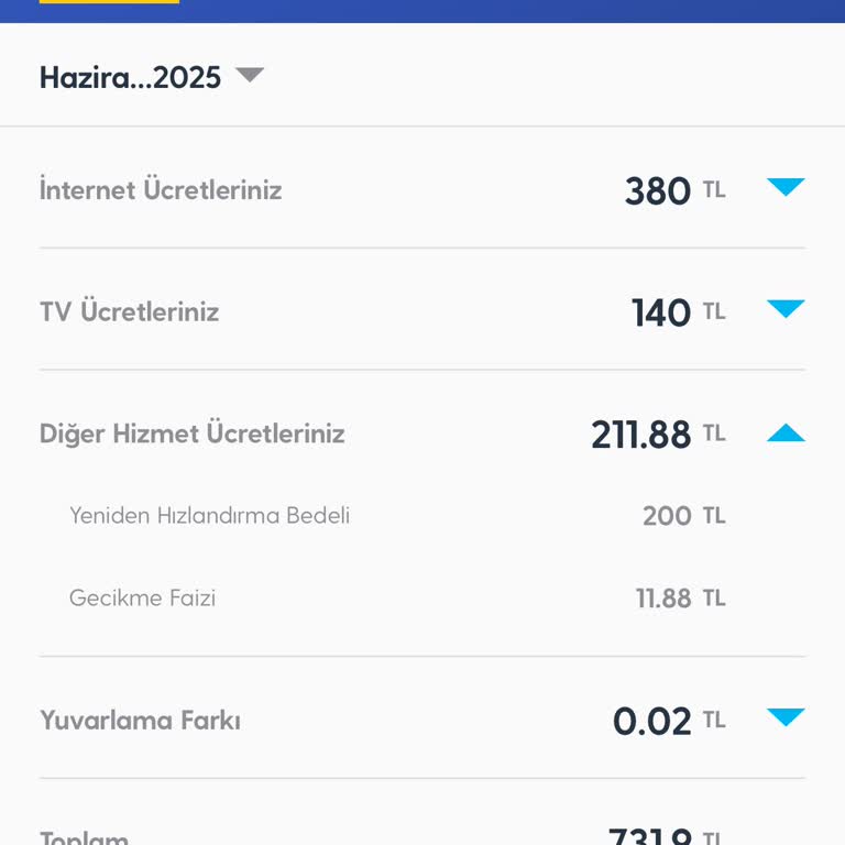 Fatura Gecikmesinde Alınan Yüksek Hızlandırma Ücreti Mağduriyeti