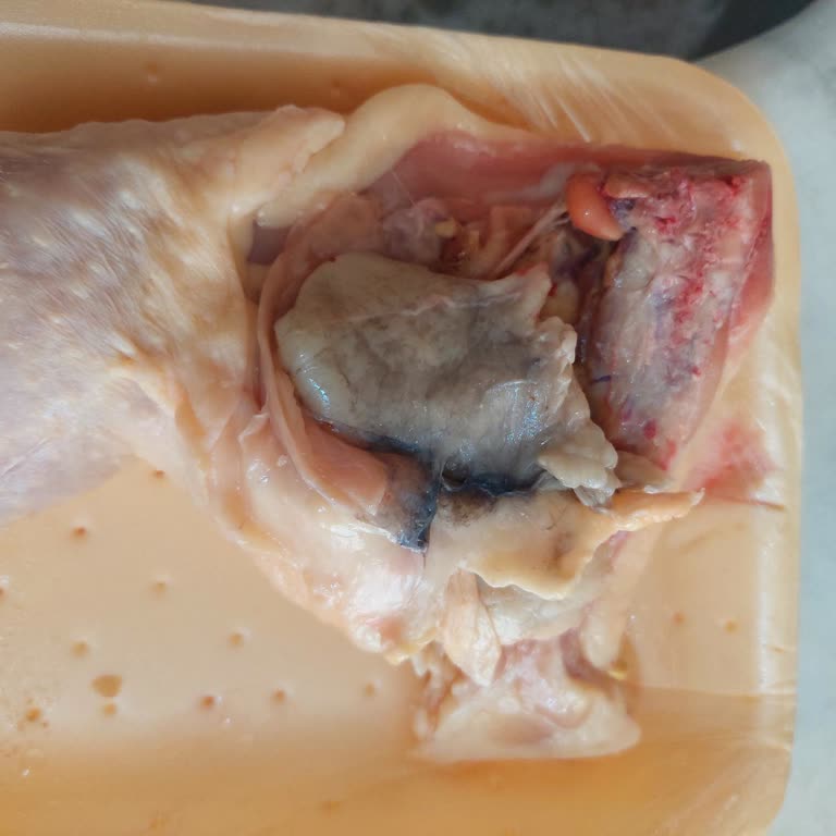 Aldığım Piliç Butların Görüntüsü Güvenimi Sarsıyor