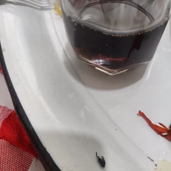 Pepsi Şişesinden Çıkan Sinek Şoku