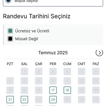VFS Online Randevu Sisteminde Ödeme Sorunu