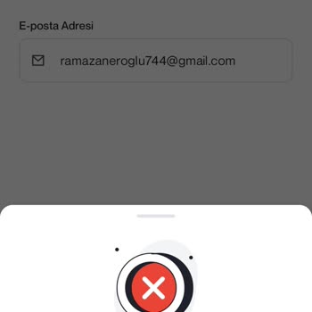 Papel Hesabıma Erişemiyorum Param İçeride Kaldı