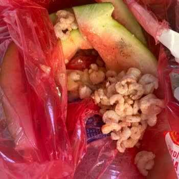 Aldığım Donmuş Karides Bozuk Çıktı Kötü Kokuyordu